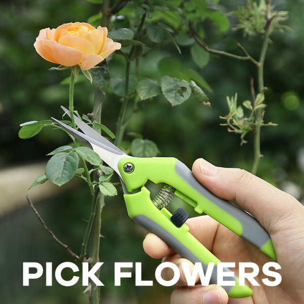 Gardening Shears 6.5 Inch Ultra Sharp Pruning Shears Flower Branch Hand Pruner Stainless Steel Plant Scissors for Garden - Image 2