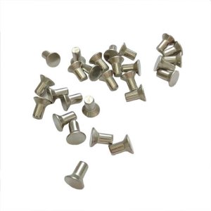 The Most Favorable Price for Customized Flat Head Hollow Rivets in Chinese Factories